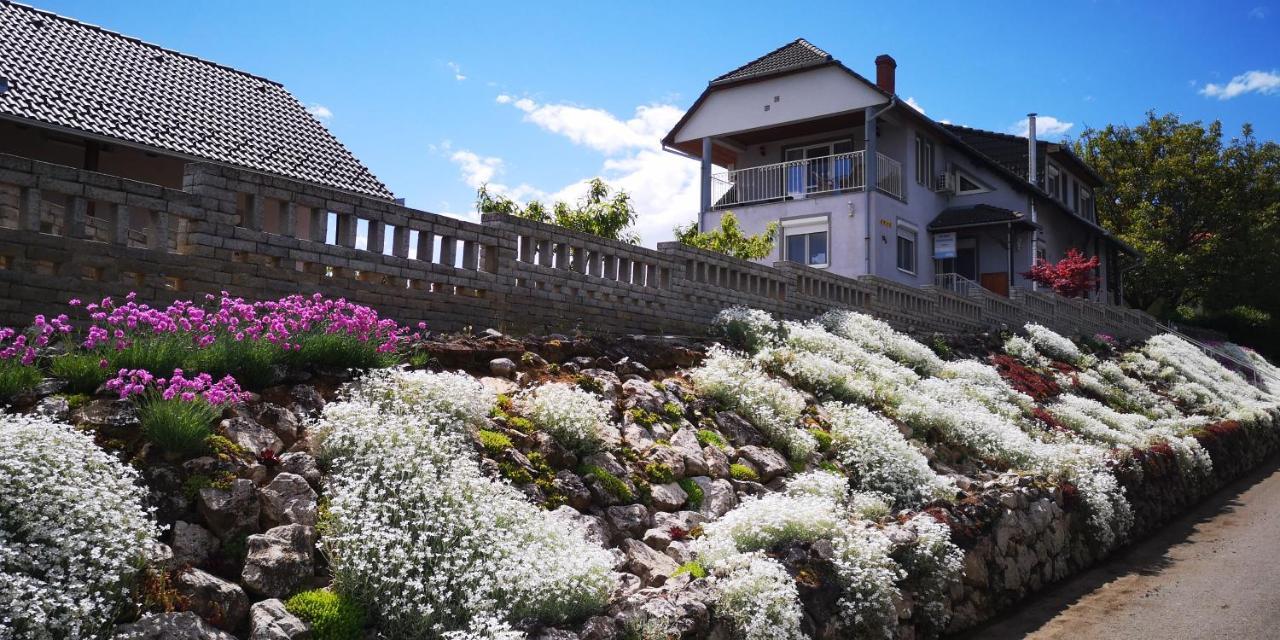 Szabo Vendeghaz Hotel Villany Bagian luar foto