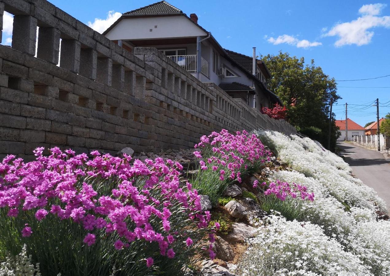 Szabo Vendeghaz Hotel Villany Bagian luar foto