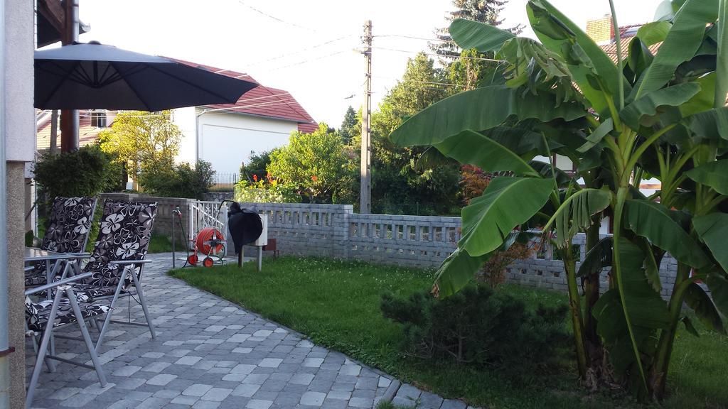 Szabo Vendeghaz Hotel Villany Bagian luar foto